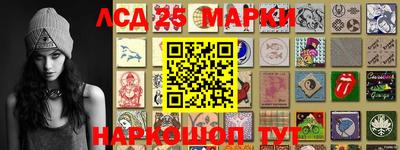 стафф Гатчина