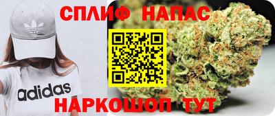 стафф Гатчина