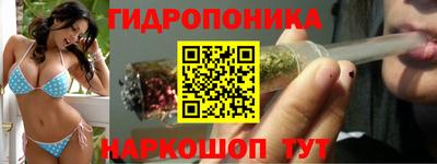 стафф Гатчина