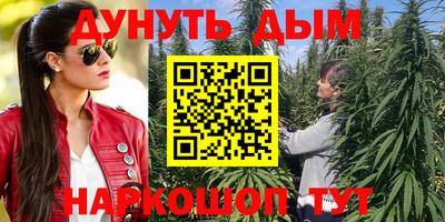 стафф Гатчина