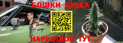 стафф Гатчина