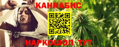 стафф Гатчина