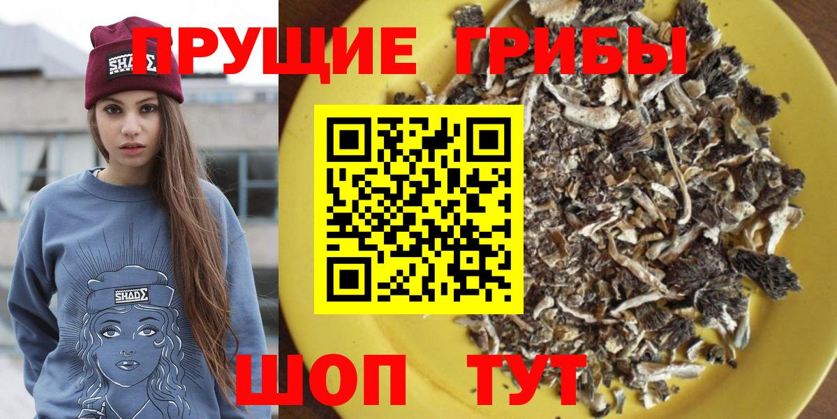 Медногорск  Галлюциногенные грибы GOLDEN TEACHER  Вход с VPN 