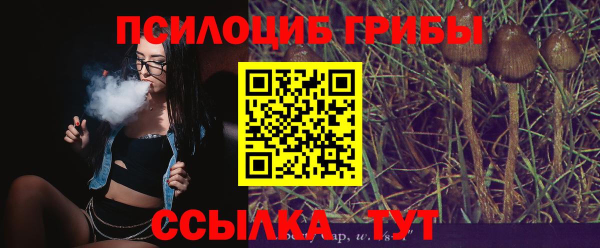 Галлюциногенные грибы Magic Shrooms Медногорск